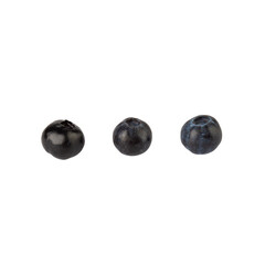 Blueberry, cutout, full depth of field.