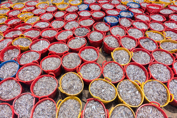 Baskets of fish are filled as fishing boats come ashore after a trip at sea, at a fishing village in Binh Thuan, Vietnam.