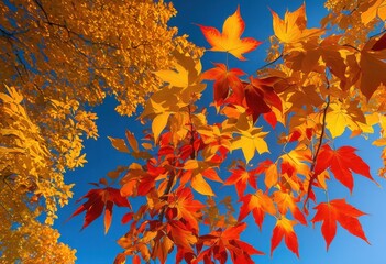 vibrant autumn leaves showcasing rich color palette striking hues yellow crisp blue sky, nature, colors, foliage, red, orange, trees, branches, landscape