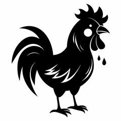 rooster isolated on white