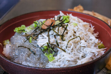 篠島名物のシラス丼