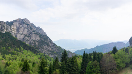 Obraz premium Mountain landscape in the Dolomiti Bellunessi from Malga Ramezza Alta at sunset on a sunny day