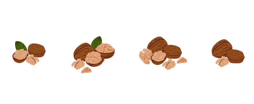 Cartoon walnut. Nuts in shell and peeled pieces with leaf. Healthy food. Diet snack. Organic vegetarian element. Whole and half. Natural plant ingredient packaging design. Vector isolated illustration