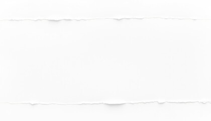 Simple Torn Paper