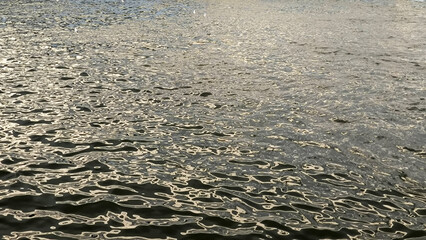 banks of Danube river in Novi Sad