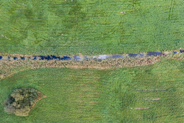 Drone view of a drainage ditch among meadows.