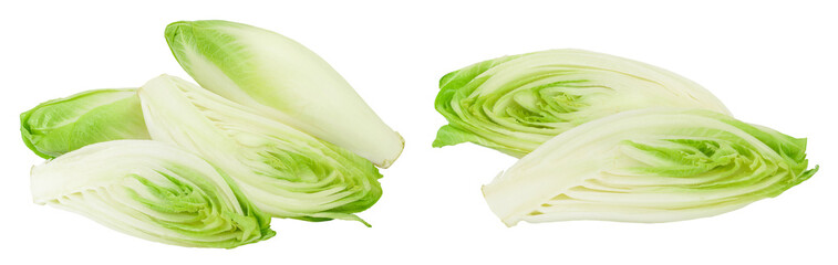 Chicory salad isolated on white background with full depth of field.