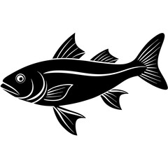 fish on a white background