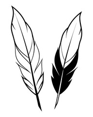 Obraz premium bird feather silhouettes vector illustration line art transparent background