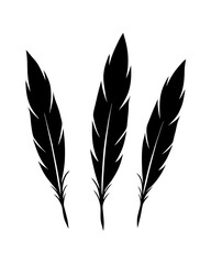 bird feather silhouettes vector illustration line art transparent background