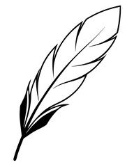 Fototapeta premium bird feather silhouettes vector illustration line art transparent background