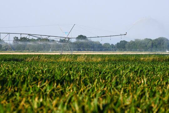 &Eacute;quipement d'irrigation pour la production de bl&eacute; et de ma&iuml;s : optimiser la production dans les plaines agricoles