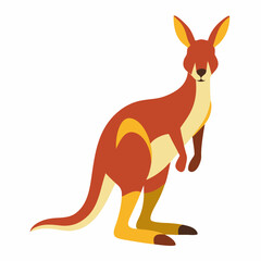 illustration of kangaroo