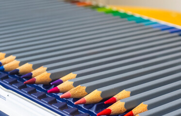 Naklejka premium Colorful and multicolored pencils