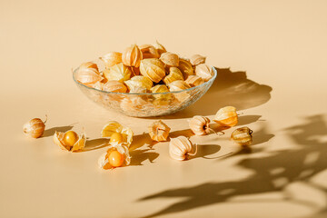 Husk tomato (Physalis) cape gooseberry, tomatillo, husk cherry, ground cherry bladder cherry, ceplukan. Columbia, India, Mexico. High quality photo in sunlight with a falling shadow from the leaves