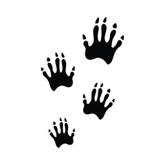 raccoon vector footprint icon © Amir