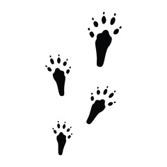 squirrel vector footprint icon