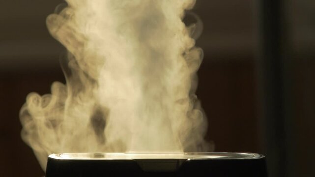 Ultrasonic humidifier provides healthy humidity levels in living room. Steam of fine mist dispersing into air from humidifier. Health care concept video
