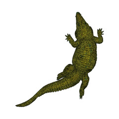 A green crocodile swimming gracefully through clear water during daylight hours