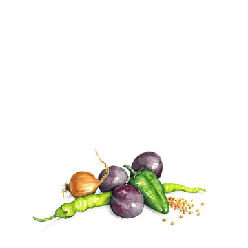 Aquarell von handgezeichnetem Gem&uuml;se und Obst. Zutaten f&uuml;r Pflaumen Chutney. Drei Pflaumen, Zwiebel, Paprika, Pfefferoni, Senfk&ouml;rner.