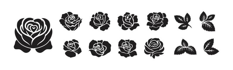 roses set vector design 