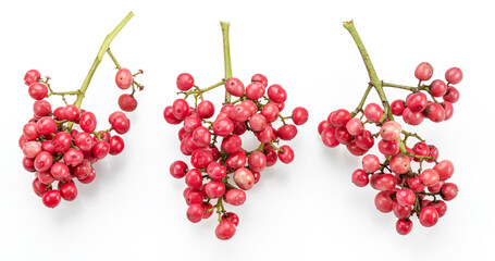 Fresh pink peppercorns on peruvian pepper tree branch isolated on white background.