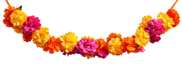 Orange and red marigold flowers isolated on transparent background. Chinese mid autumn festival or toran Indian traditional Diwali decoration. Symbol of mexican holiday Day of dead png 