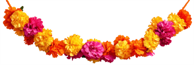 Orange and red marigold flowers isolated on transparent background. Chinese mid autumn festival or toran Indian traditional Diwali decoration. Symbol of mexican holiday Day of dead png 