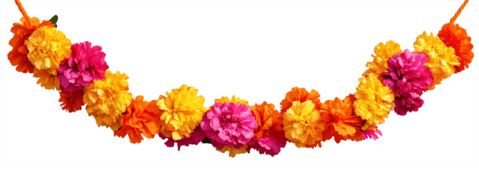 Orange and red marigold flowers isolated on transparent background. Chinese mid autumn festival or toran Indian traditional Diwali decoration. Symbol of mexican holiday Day of dead png 