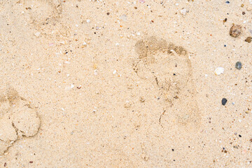 Footprint in the Sand: A Moment Captured in Time