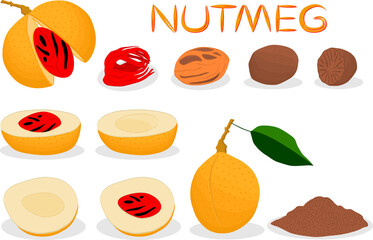 Sweet juicy tasty natural eco product nut