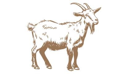 Goat. Vintage retro print, black white goat drawing, sketch ink pencil draw, engrave old school style. Sketch artwork silhouette goat with horns. Side view profile goat. Vector Illustration