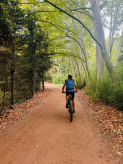 Cyclist on route passing through an autumn forest.
