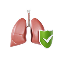 Human lungs with shield isolated on white background. Lungs care concept. 3d-rendering