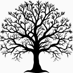 Obraz premium red-mulberry-tree-silhouette