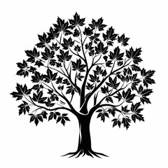 Obraz premium sweetgum-tree-silhouette