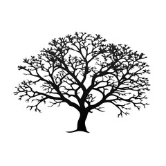 maple-tree-silhouette