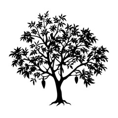 Obraz premium macadamia-tree-silhouette