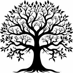 Obraz premium silver-oak-tree-silhouette