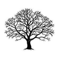 lignum-vitae-tree-silhouette