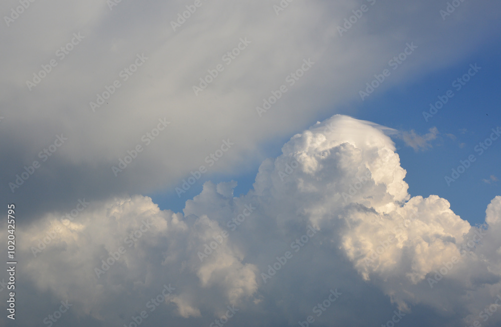 Wall mural a cumulus cloud that is in the sky copy space banner