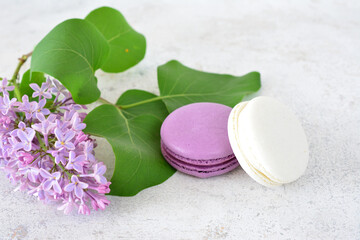 a bunch of purple and white french cookies and a purple flower