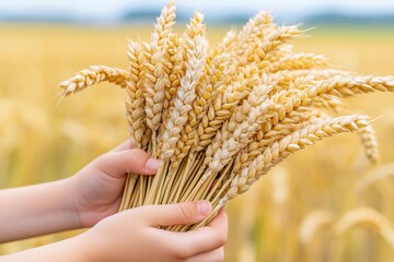 Hands holding a bouquet of golden wheat in a sunlit field.