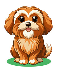 Beautiful happy reddish havanese puppy dog is sitting frontal.