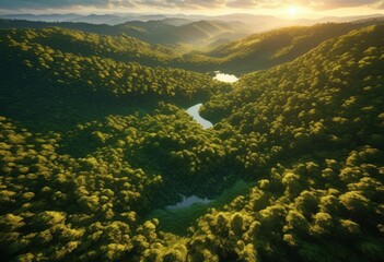 breathtaking aerial view expansive unspoiled wilderness showcasing beauty from above, drone, landscape, nature, expanse, forest, mountain, sky, terrain