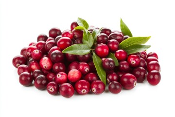 The vibrant red berries of a freshly picked cranberry are isolated on a transparent background for culinary projects, holiday recipes, and organic food illustrations