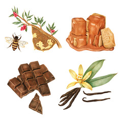 Hand drawn confectionery flavor sticker with a white border set