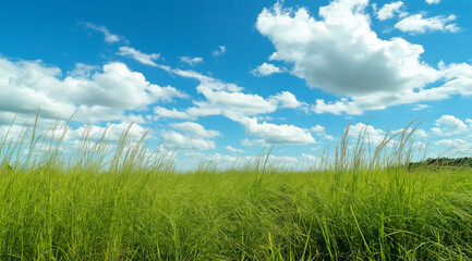 Blue Sky and White Clouds in Sky with blank Background. Panoramic View with Azure Sky Cloudless. Clean and Clear Sky with wide-Angle in High-Resolution. High-Definition Nature Scene Sky Banner