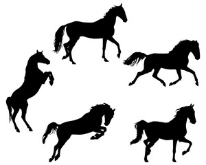 Horses Silhouettes Set, Collection, Black, Pose, Isolated, Jump, Stand, Run, Animal © Elena