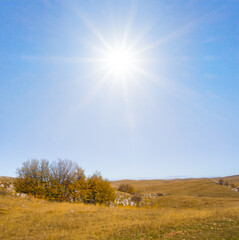 Obraz premium red dry autumn prairie at sparkle sunny day